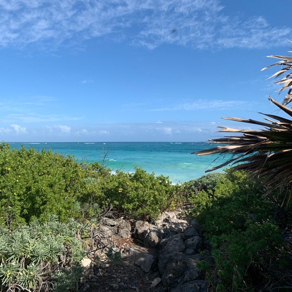 Meet your Posher, Fabiola - Picture 1 of 1